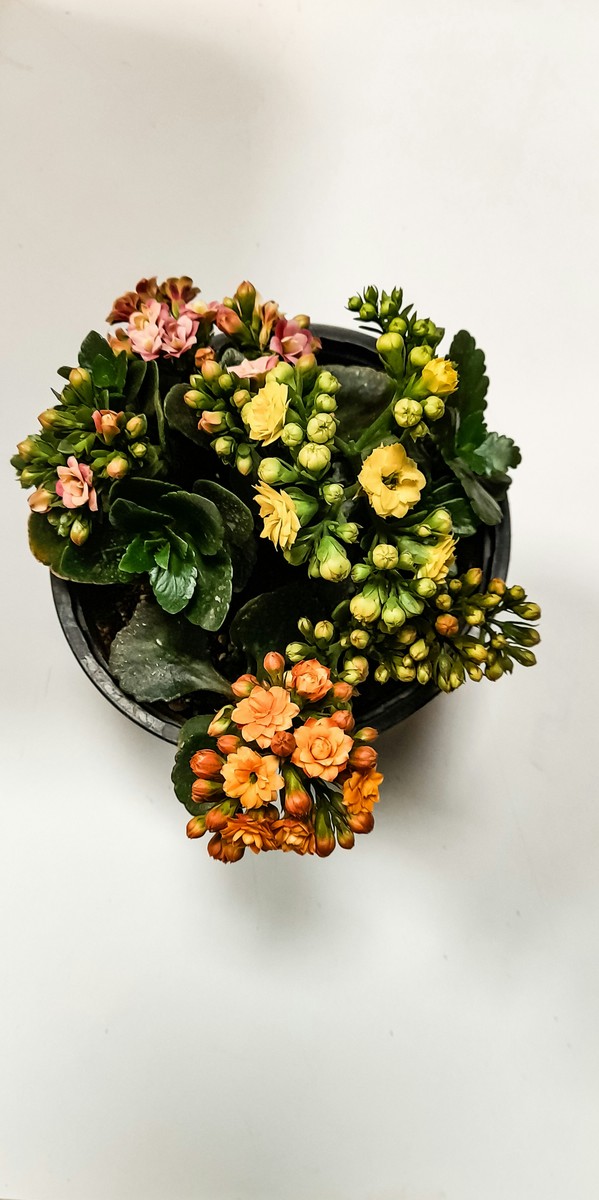 Bespoke Custom Floral Designs
